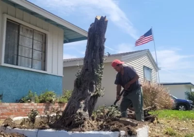 Affordable Plumbing Services